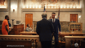 Season 1 Lawyers GIF by Law & Order