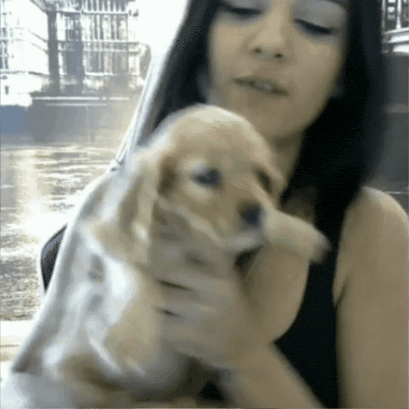 Twitch Miranda GIF