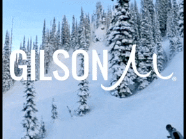 Gilson GIF