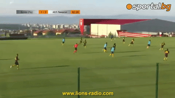 lions-radio goal radio lions friendly GIF