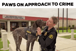 SBCountyDA paws dogs police protect serve community da GIF