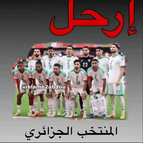 Algeria Dz GIF