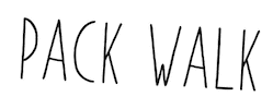 Packwalk Sticker by Pecksadventurepack