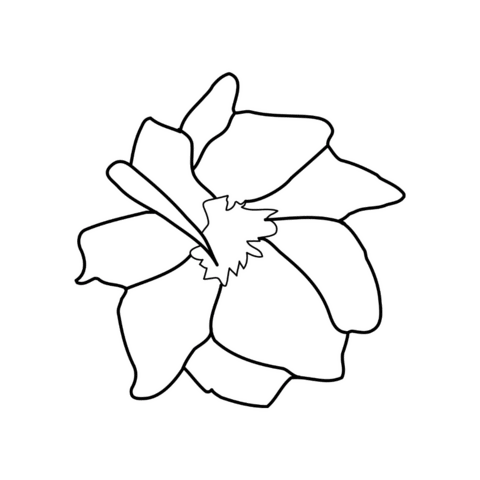 Flower Minimalist Sticker