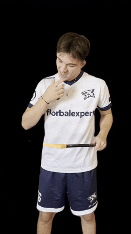 Kralupy Wolves GIF