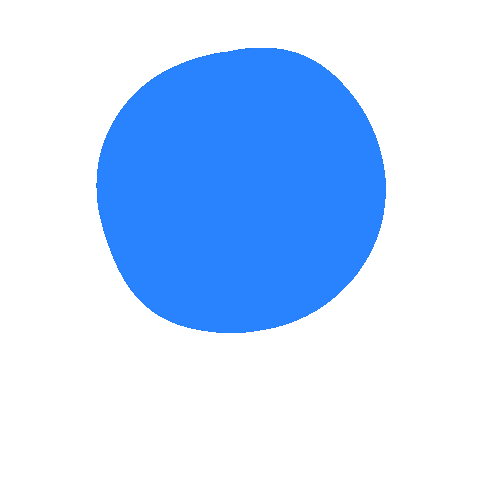 The Salt Company Sticker