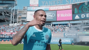 Happy New York Is Blue GIF by NYCFC
