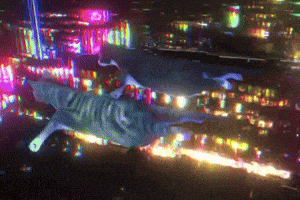 Flyingcats GIF