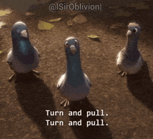 Pigeon GIF