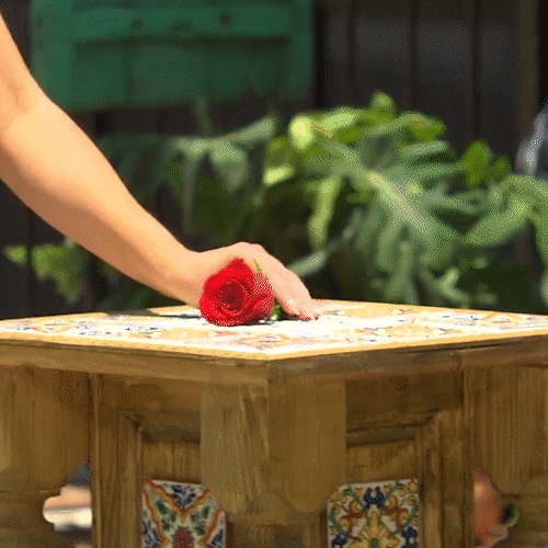 Abc Think GIF by The Bachelorette