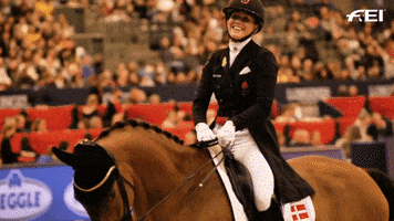 Happy Fei World Cup GIF by FEI Global
