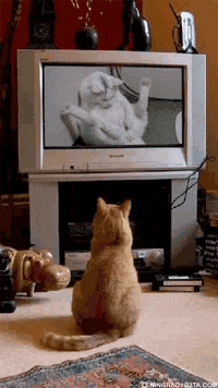 Funny Dog Gif Porn - Funny-porn GIFs - Find & Share on GIPHY