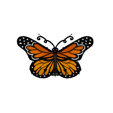 Animated Sticker