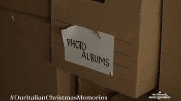 Christmas Vintage GIF by Hallmark Movies & Mysteries