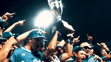 Area Code Baseball GIF