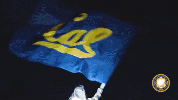 Uc Berkeley Flag GIF by Cal