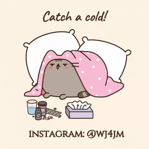 Pusheen GIF