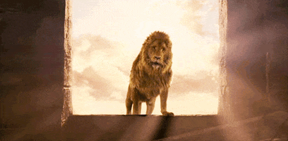 the chronicles of narnia film GIF