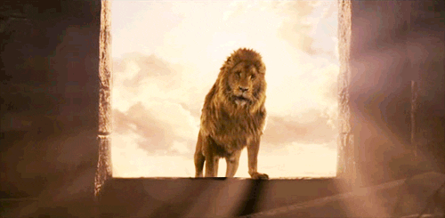 Aslan GIFs - Get the best GIF on GIPHY