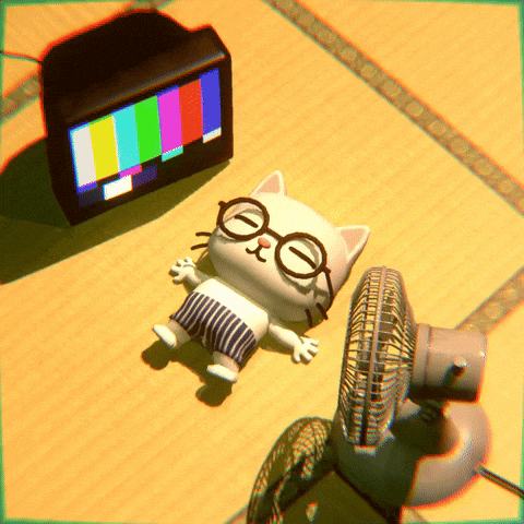 Cat Summer GIF