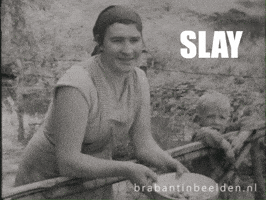 Slay Brabant GIF by BrabantinBeelden