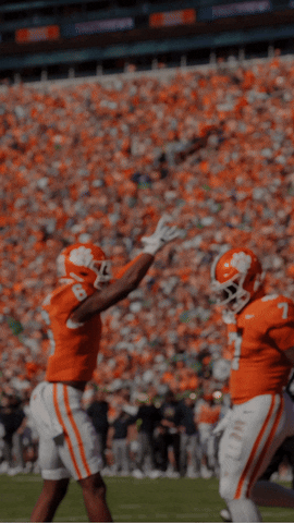 Football Celebration GIF by Clemson Tigers