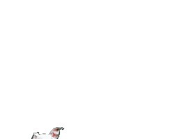 Whippet Swipe Up Sticker by havohravo