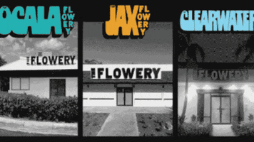 GIF by The Flowery