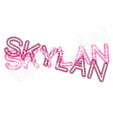 SkylanMusic Sticker