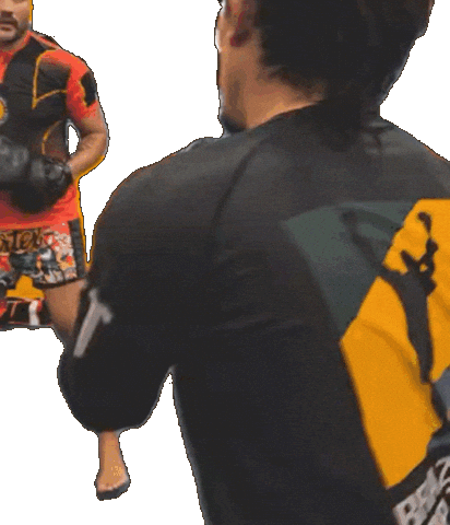 Muay Thai Boxing Sticker by Brazilian Top Team