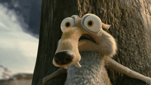 giphy.gif?cid=ecf05e4797c3efb4f2276825ab3b51e37fd9c03145309e63&rid=giphy.gif