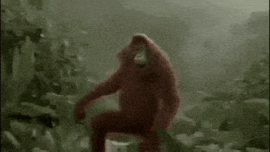 Oh Yeah Dancing GIF by Jennifer Accomando