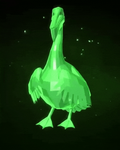 Rare Bird Pelican GIF