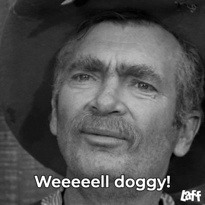Video gif. Black and white closeup of Buddy Ebsen as Jed Clampett on "The Beverly Hillbillies" wearing a cowboy hat as he slowly looks from side to side like he's studying someone passing by, saying "Weeeeell doggy!'
