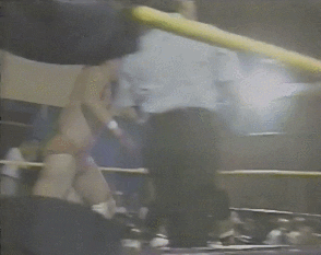Wrestling GIF