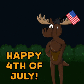 Independence Day Nft GIF by DoYouMoose