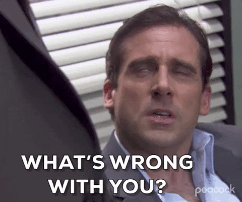 Giphy - What Is Wrong With You Season 2 GIF by The Office
