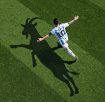 Lionel Messi Football GIF