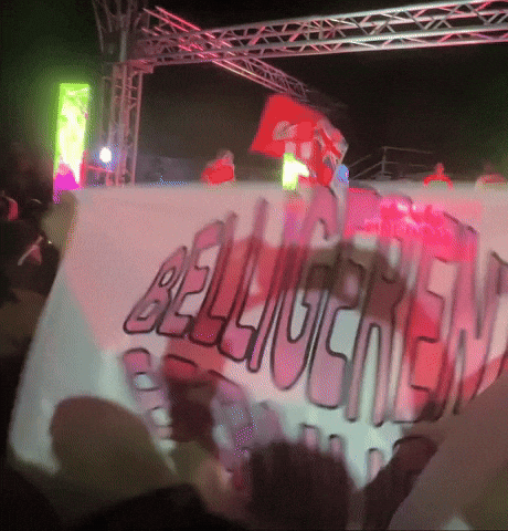 Party Summer GIF by Belligerent Bermuda