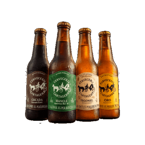 Cheers Cerveza Sticker by CERVECERIA CARTAGENA