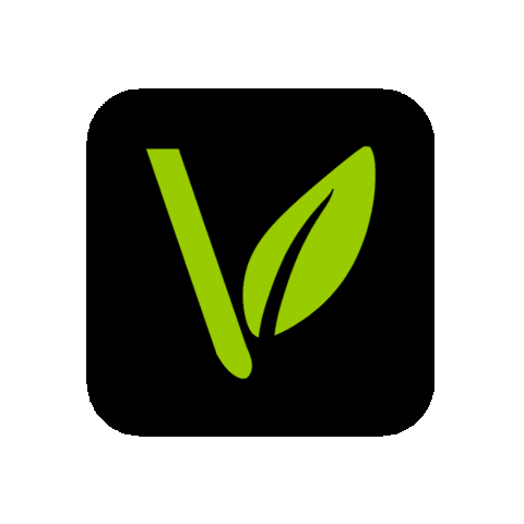 The Vine Church Sticker