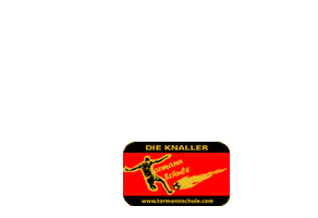 Die Knaller Tormannschule Sticker
