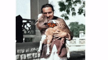 Animated GIF