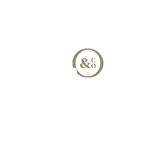 CVis & Co Sticker