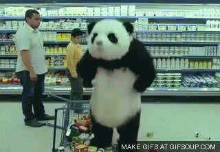 giphy.gif?cid=ecf05e470b9a06319b82d0b53b