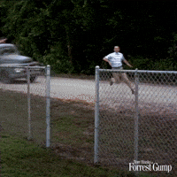 Forest Gump Gifs Get The Best Gif On Giphy Forest Gump Gifs Get The Best Gif On Giphy