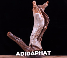 Adidaphat GIF