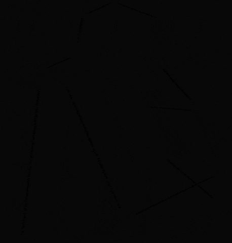 Pattern Recognition GIF