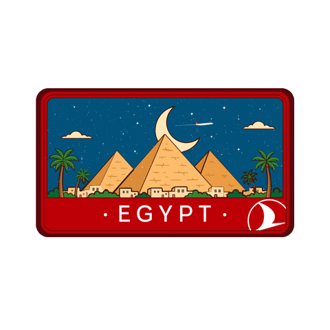 Cairomarathon Sticker by Turkish Airlines