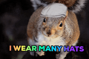 squirrel hats GIF by Stoneham Press